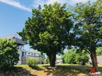 Wells Moody Motel Hotel di North Berwick