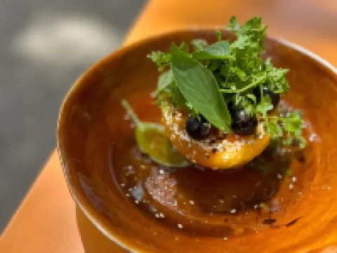 ホテル プレザント - 200m デ アレーヌ ド アルル - アンコール ミュー アルルのホテル