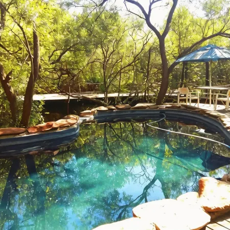 Warthogs Bush Lodge