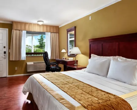 Quality Inn & Suites Fife Seattle Hotels in Fife