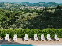 Agriturismo Tenuta Cantagallo Hotels in Capraia e Limite