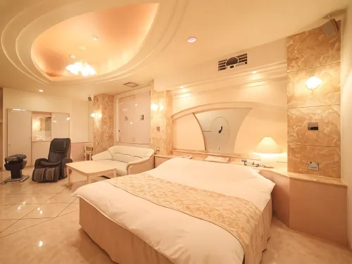 Hotel Fine Garden Sakai - 3-Star