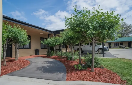 葡萄藤汽車旅館