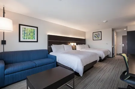 Holiday Inn Express & Suites CHICAGO - HOFFMAN ESTATES by IHG