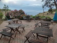 Zorbas Apartments
