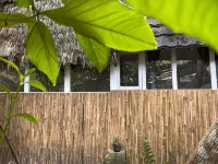 FrogHomestay