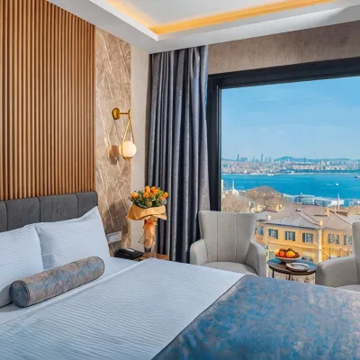 Ring Stone Hotels Bosphorus - Special Class Hôtels à proximité de : Beyoğlu