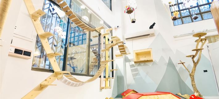 Snail Pets Homestay Tainan otelleri