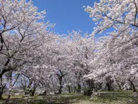 Kamiya Resort Ise Jingu Okage no Niwa - Homestay