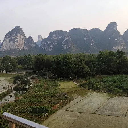 Daxin Mingxuan Green Leaf Farmhouse