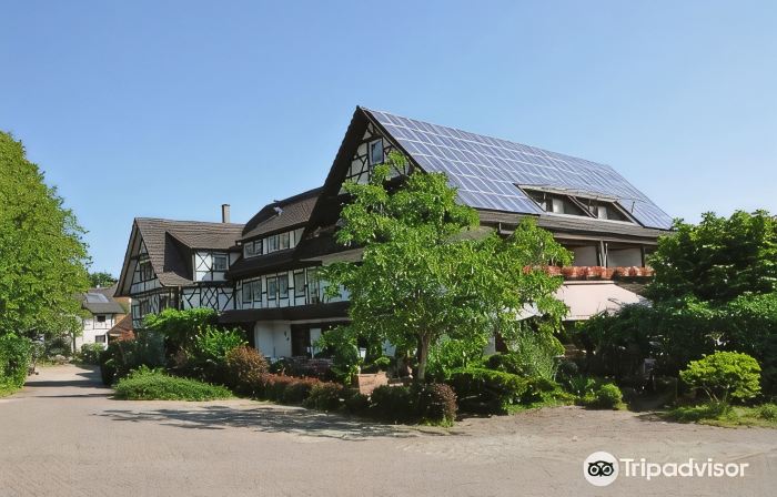 Landhotel Rebstock