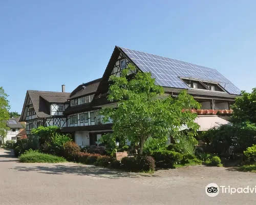 Landhotel Rebstock Hotels in Oberkirch
