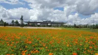 Kelaixuan Hotel (Daomi Post Station Branch, Changbaishan North Slope Distribution Center)
