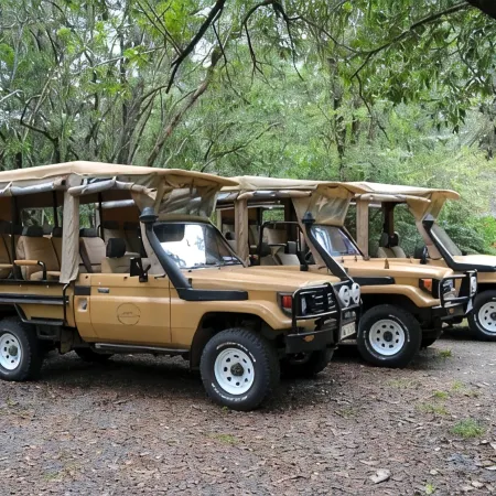 Exploreans Mara River Camp