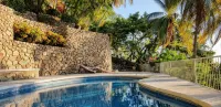 Acapulco Villa Spectacular Pacific Ocean Views - مسبح خاص