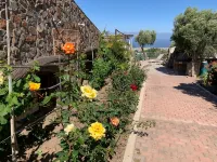 Villa Cantos del Grillo. Tranquility and peace to spend as a family.