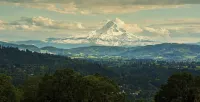 One-bedroom honeymoon penthouse, Mt Hood views, downtown White Salmon, suite 16