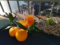 HOUSE WITH PRIVATE PARKING AND MAGNIFICENT VIEW ON THE BAY OF POSITANO - 2-Star