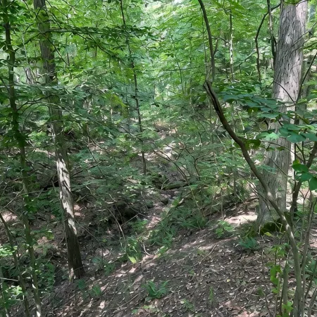 Valley Overlook, Peninsula, Ohio - Glamping Tent with Outdoor Deck, S2