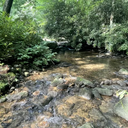 Cozy Creek Cabin Near Highlands, NC:  Relax or Adventure - You Choose!