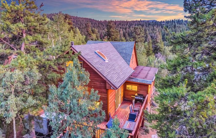 Best Hot Tub View in Bailey - Family & Pet Friendly BBQ / Hot Tub / Near Denver