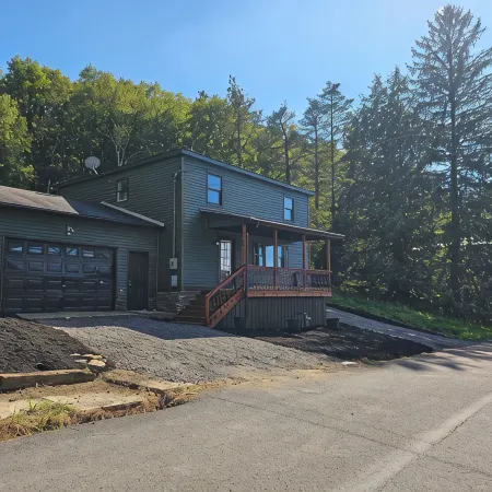 Sleeps 10 home in Thomas. Walk to Purple Fiddle. Close to Davis and Canaan