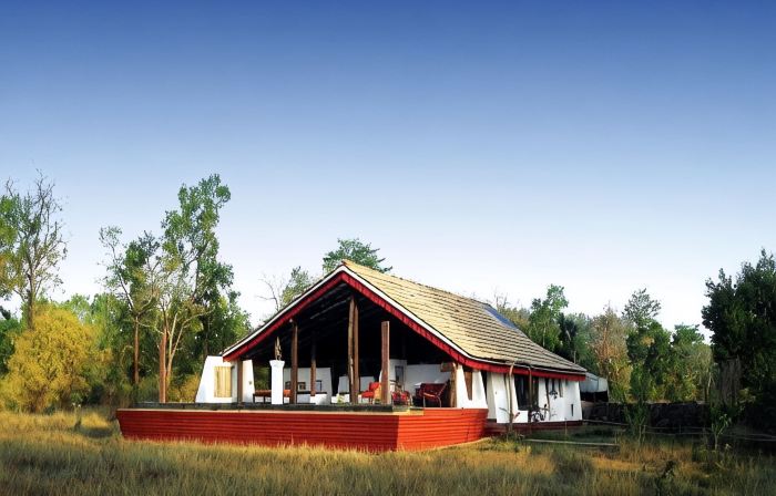 Monsoon Forest Bandhavgarh