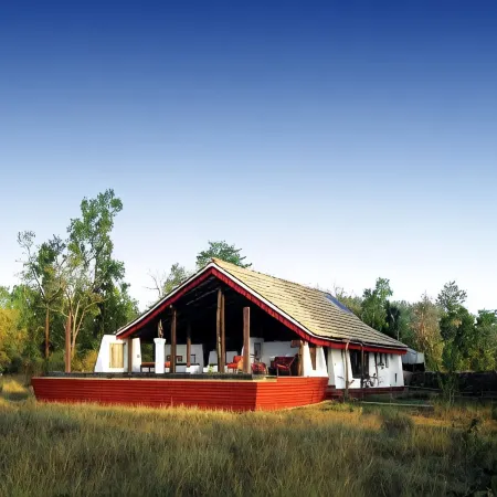 Monsoon Forest Bandhavgarh
