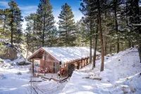 Private Hiking Trail! 2.4 Miles to Estes Park, Near Rmnp w/ King Bed. Dogs ok! - Chalets