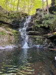 Hot Tub, Relaxing Hammock under the trees, Fire pit, BBQ, surrounded by nature - Wifi