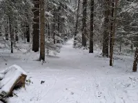 Vacation home for up to 6 people in the beautiful Black Forest シュランベルクのホテル