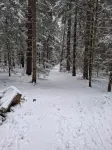 Vacation home for up to 6 people in the beautiful Black Forest - 民宿