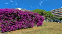 Casalionelantibes : Large Apartment with AC, King-Size Bed, Garden and Parking - 2つ星