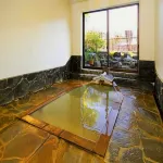Mogamiya Ryokan - Suối nước nóng