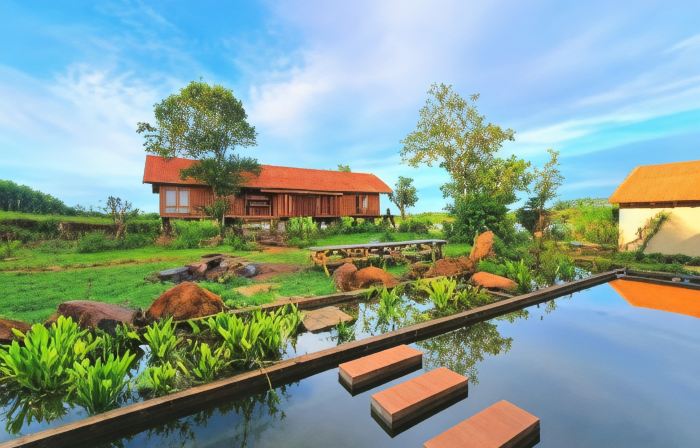 TODO Farm - Trang Trại Rau Hữu Cơ