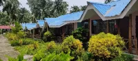 Honey Moon Beach Resort - Pet-friendly