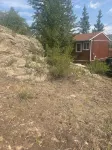 License # 3031 Estes Park remodeled detached cabin, views, quiet area.