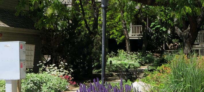 Newly remodeled bright open floor plan located in the heart of Boulder Hoteles en Boulder
