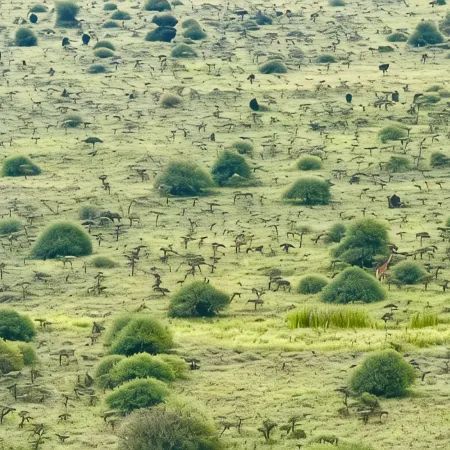 Traveler's Loft -National park views minutes from JKIA & SGR