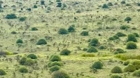 Traveler's Loft -National park views minutes from JKIA & SGR - Rooftop Pools