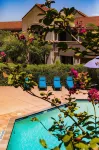 Vineyard Court Designer Suites Hotel - Pool