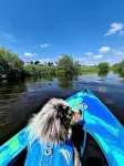 Between the North Sea and Baltic Sea x1f30a;XXL vacation apartment directly on the Treene river - Træningscentre