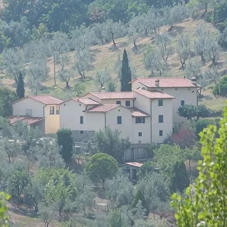 Fuccioli II