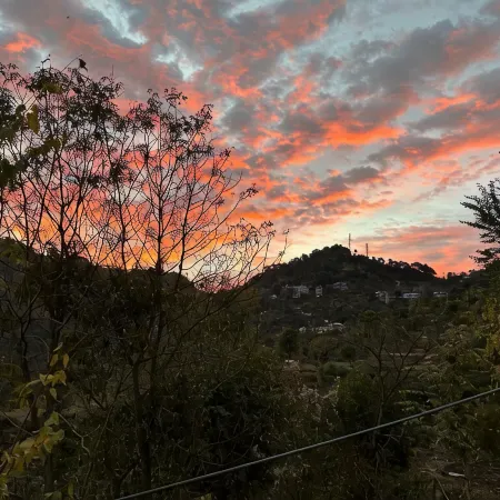 SUNS Cottage Kasauli