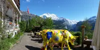 Hotel Bellevue - Traditional Swiss Hideaway