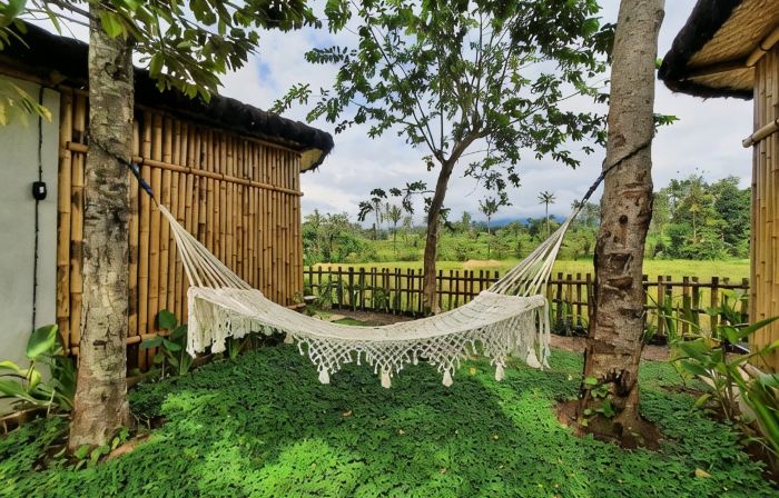 Sawah Ijen warung & guest house