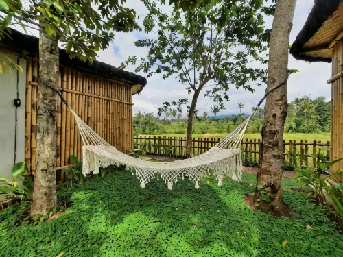 Sawah Ijen & Guest House Banyuwangi - 3-Star