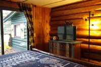 The Owl of Lake George 2 BR deck lake views fireplace - شاليه