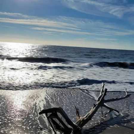 The Marshpad, surrounded by nature, mins to beach in gated community