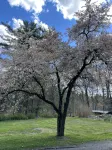 The Lehigh Cabin - Riverfront Escape- 1 mile private river - Chalets